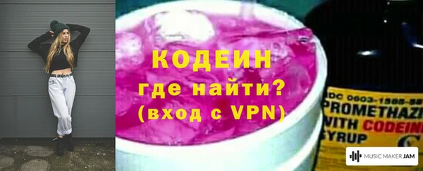 ПСИЛОЦИБИНОВЫЕ ГРИБЫ Гусь-Хрустальный