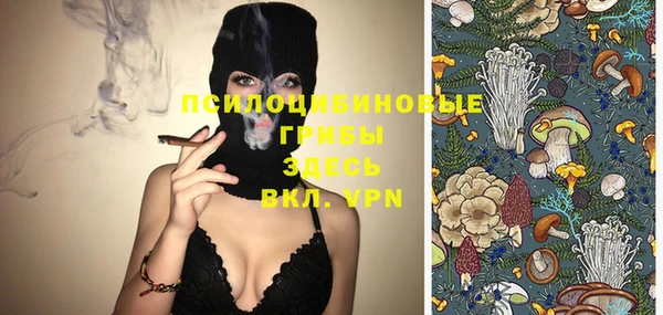 ПСИЛОЦИБИНОВЫЕ ГРИБЫ Гусь-Хрустальный