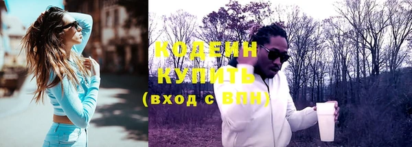 ПСИЛОЦИБИНОВЫЕ ГРИБЫ Гусь-Хрустальный
