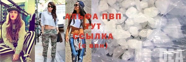 ПСИЛОЦИБИНОВЫЕ ГРИБЫ Гусь-Хрустальный